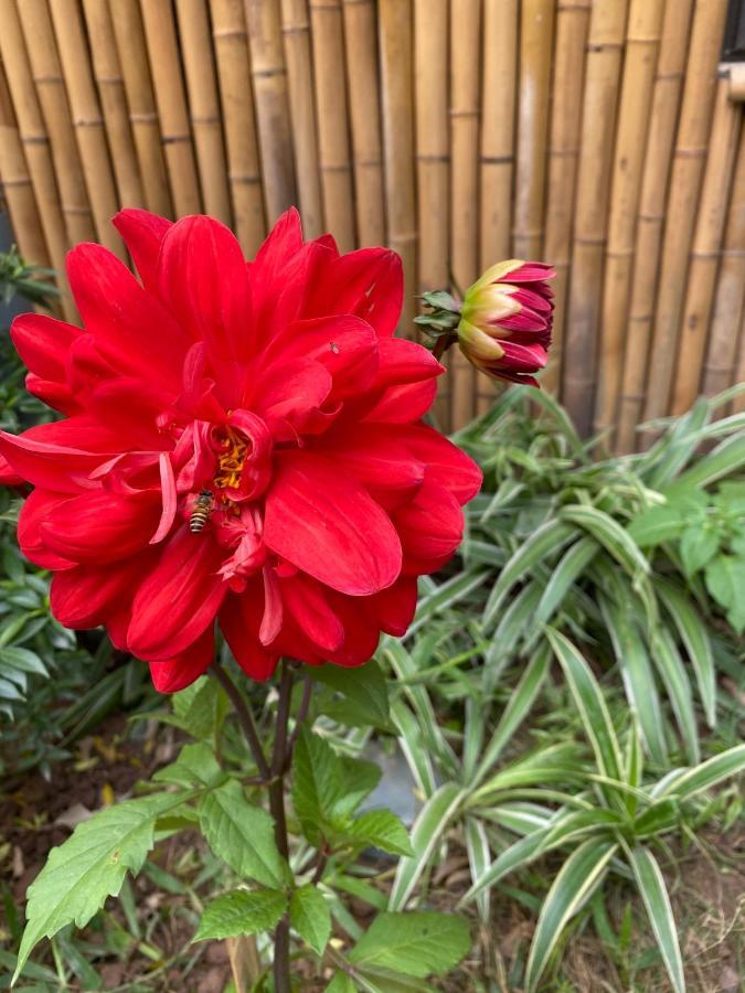 Trang An Moon Garden Homestay 宁平 外观 照片