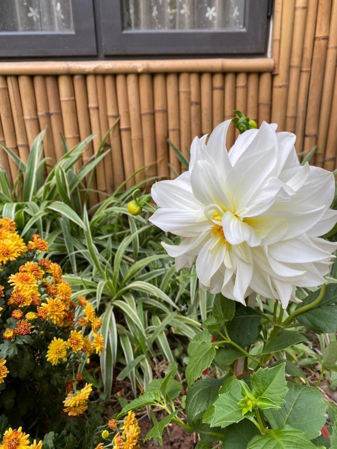 Trang An Moon Garden Homestay 宁平 外观 照片