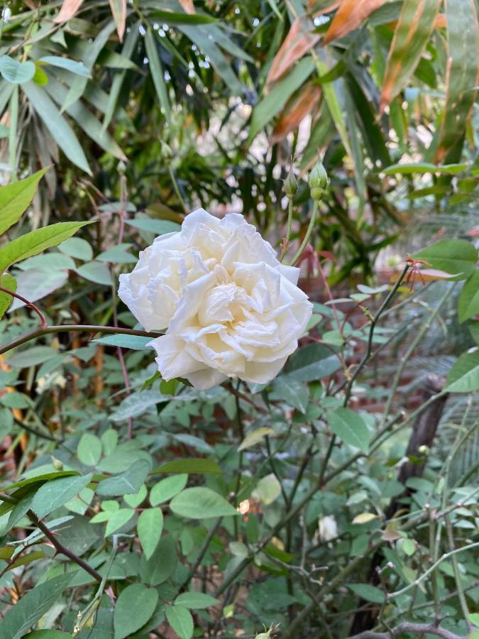 Trang An Moon Garden Homestay 宁平 外观 照片