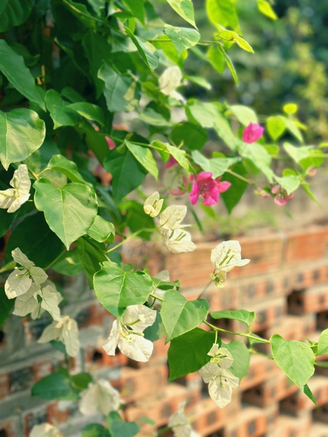 Trang An Moon Garden Homestay 宁平 外观 照片