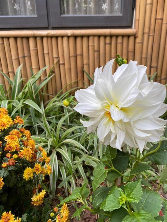 Trang An Moon Garden Homestay 宁平 外观 照片
