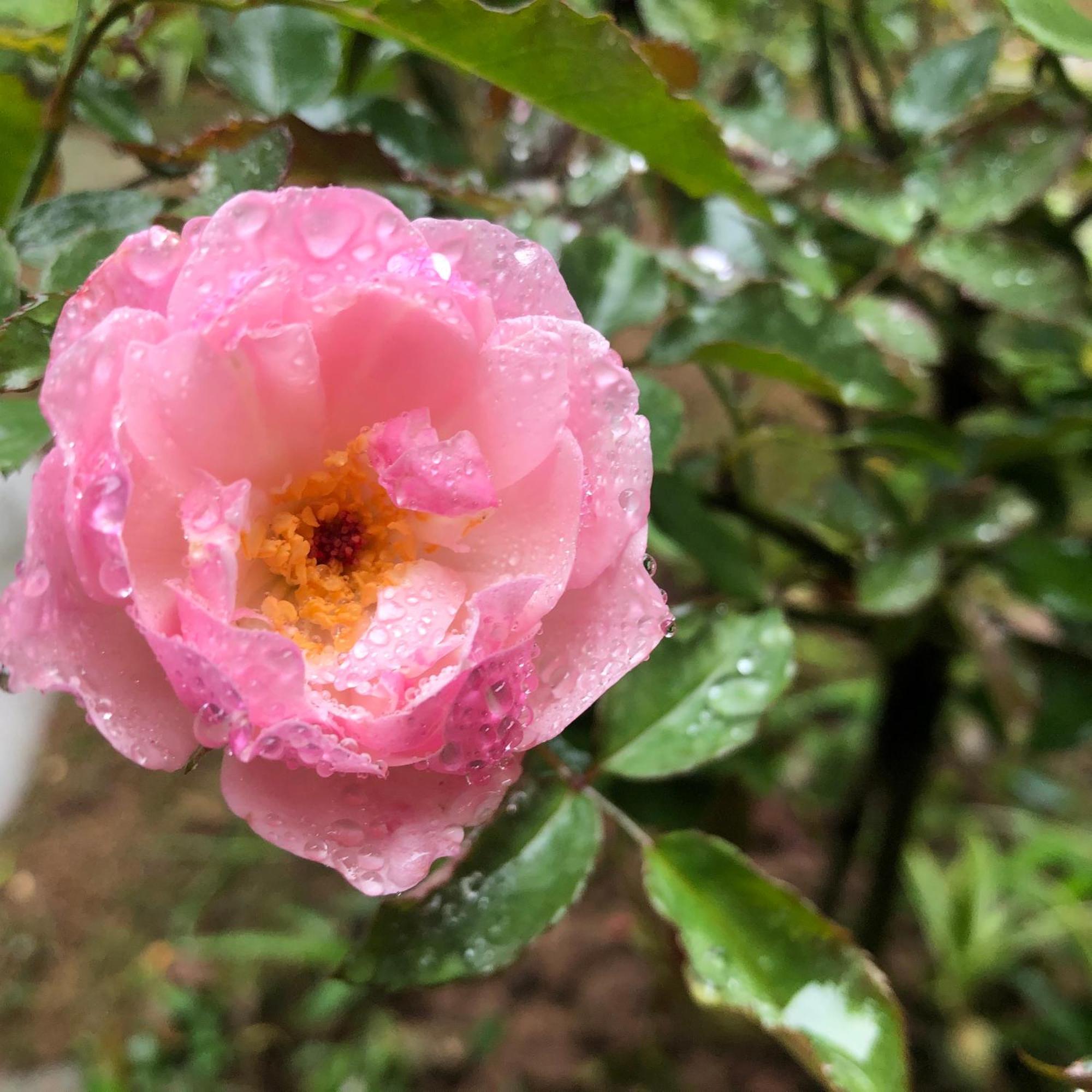 Trang An Moon Garden Homestay 宁平 外观 照片