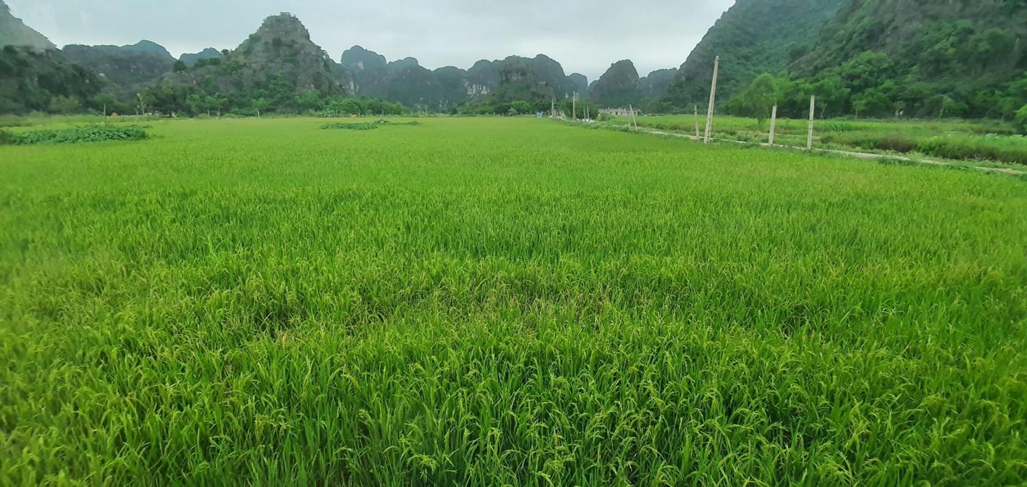 Trang An Moon Garden Homestay 宁平 外观 照片
