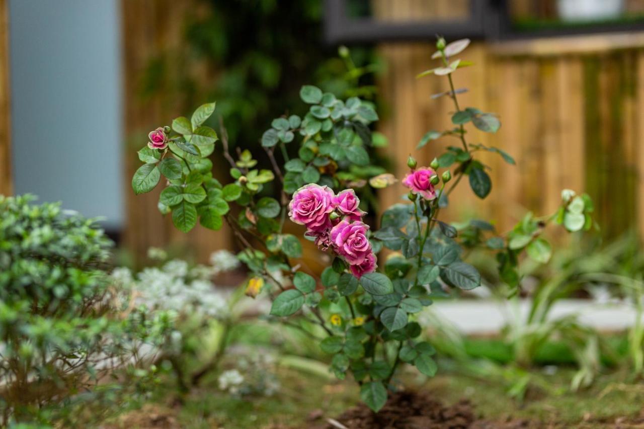 Trang An Moon Garden Homestay 宁平 外观 照片